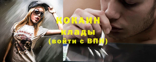 ешки Алексин