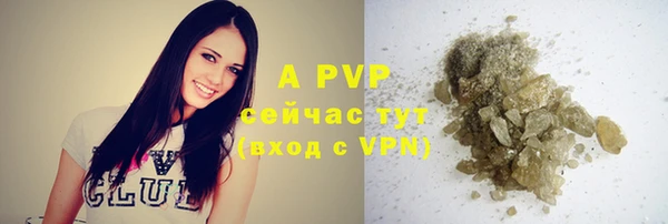 ешки Алексин