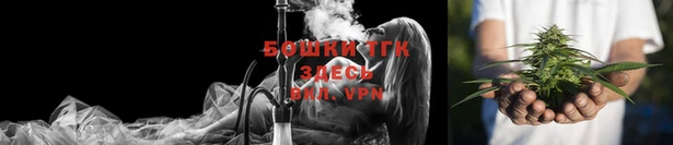 стаф Данков
