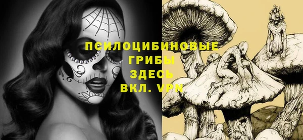 ешки Алексин
