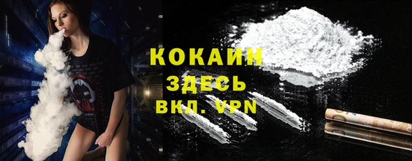 ешки Алексин